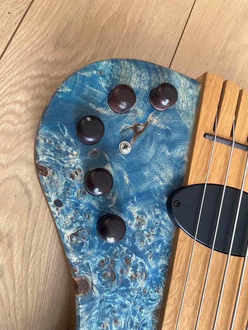 Stradi Sky Fretless 5弦 エレキベース Stradi Sky Fretless 5弦 エレキベース