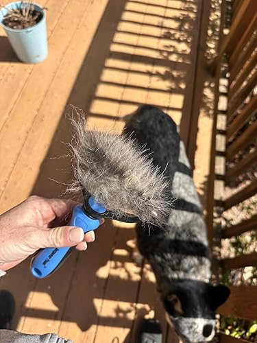 Maxpower Planet Original Pet Grooming Rake — alternate color or size variant on Amazon