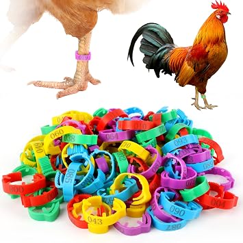 100 Pcs Adjustable Chicken Leg Rings