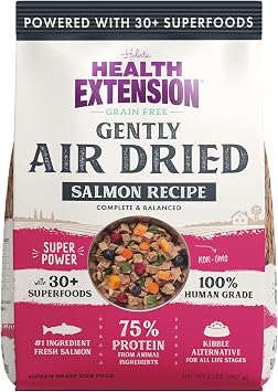 Health Extension Gently Air Dried Salmon Dog Food, 2lb, 907 g Complete & Balanced with 85% Animal Protein and 30+ Superfoods for All Life Stages