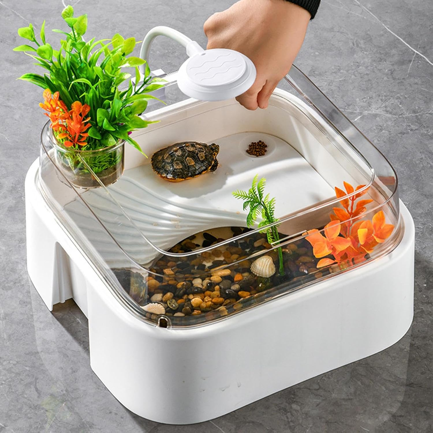 Turtle Tank, 30x26x16cm PP Reptile Enclosure with 5W USB Clip Light, Clear Habitat Kit for Bearded Dragons, Terrapins, Newts, Small Turtles