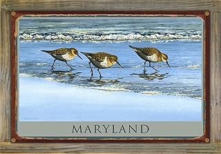 Maryland Breakfast at Beach Rustic Metal Print on Reclaimed Barn Wood from Watercolor by Artist Dave Bartholet 11.5" x 17.5"