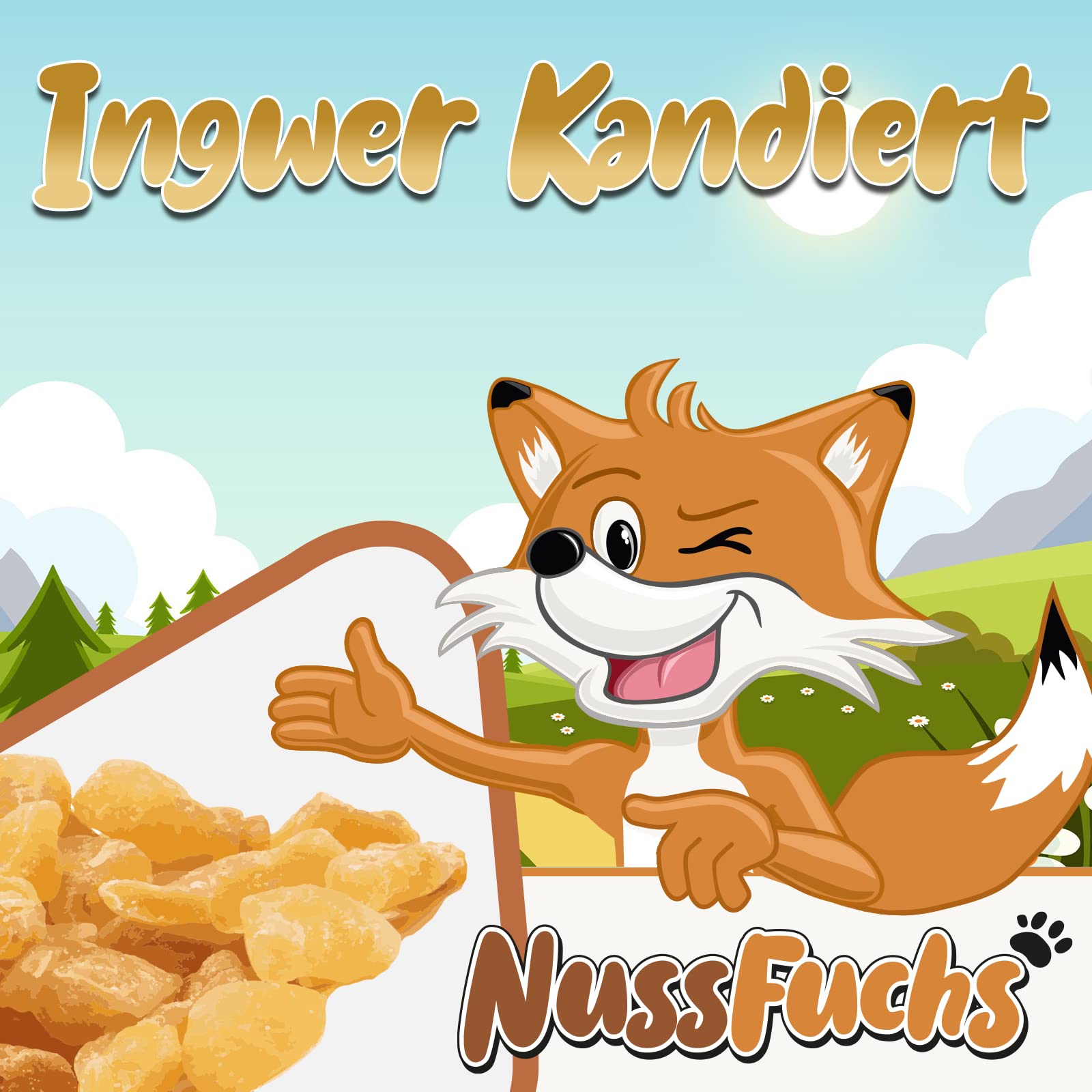 Ingwerstücke leicht kandiert scharf 3kg - Ingwerwürfel vegan naturbelassen ungeschwefelt getrocknet 100% Natur