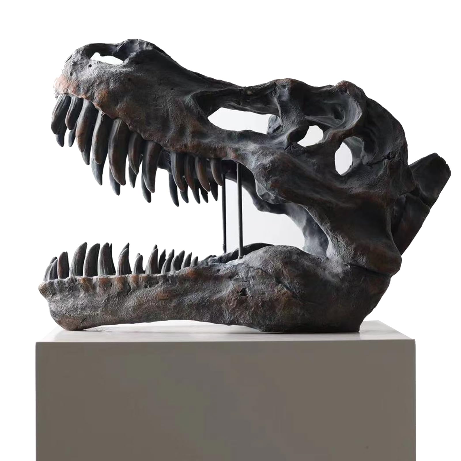 T-Rex Skull Dinosaur Head Statue Fossil Figurine Tyrannosaurus Rex Skull Sculpture per Home Office Decor Shelf Display