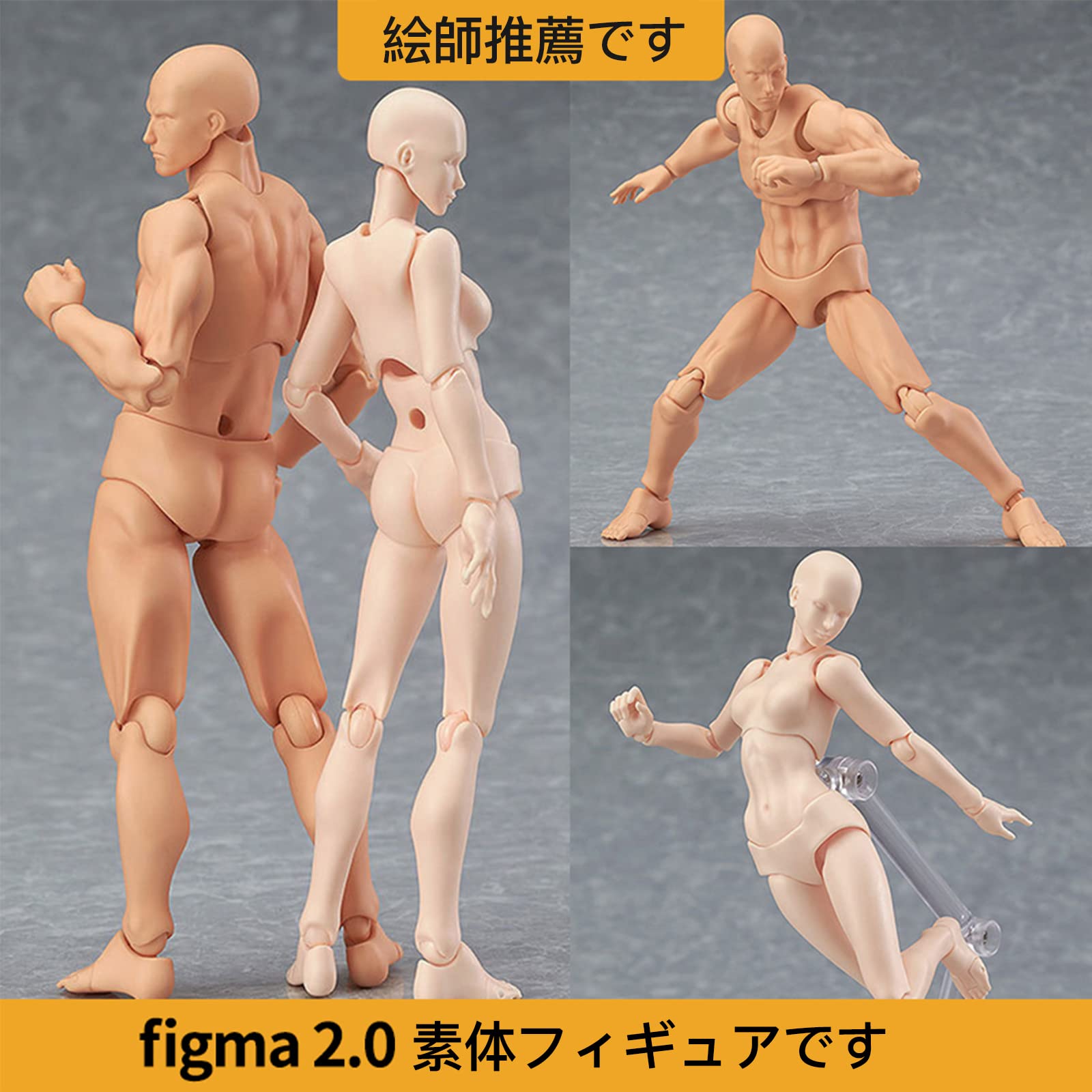 Amazon.co.jp: 1/12 男女2点セット 人形 素体 可動式 全身ドール