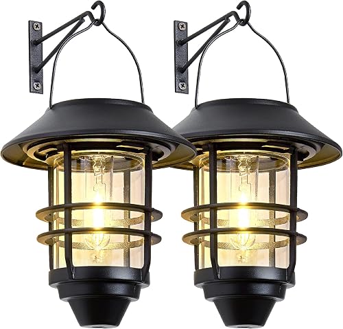 Derynome Solar Lantern Lights