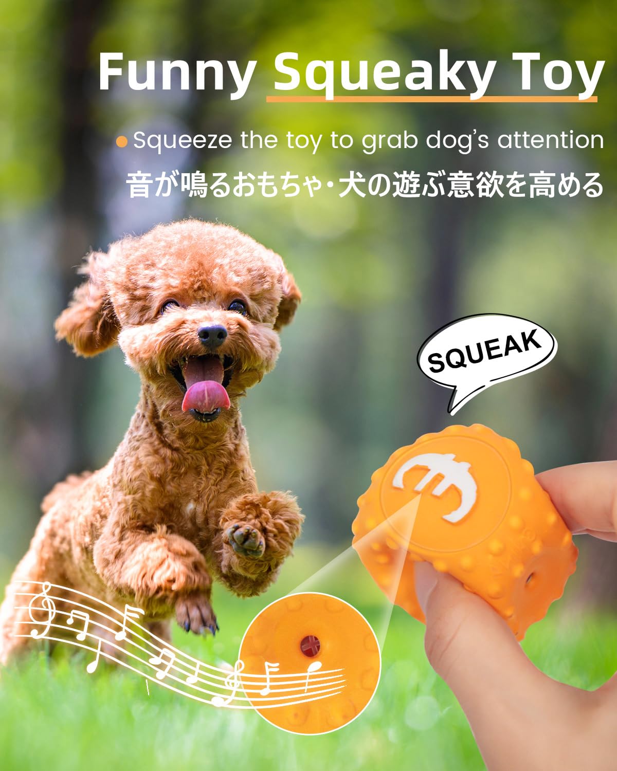 Amazon | SCHITEC 犬 おもちゃ ボール 音の出る 【4個セット 文字付き