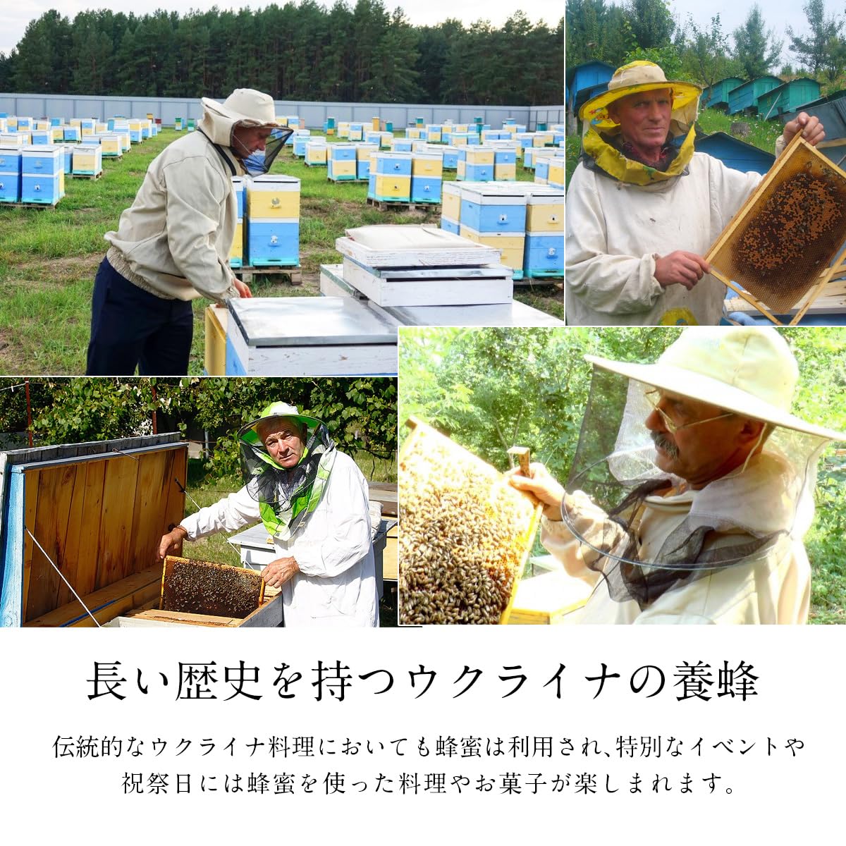 Amazon.co.jp: BeeWorks(ビーワークス) ウクライナ産 純粋はちみつ