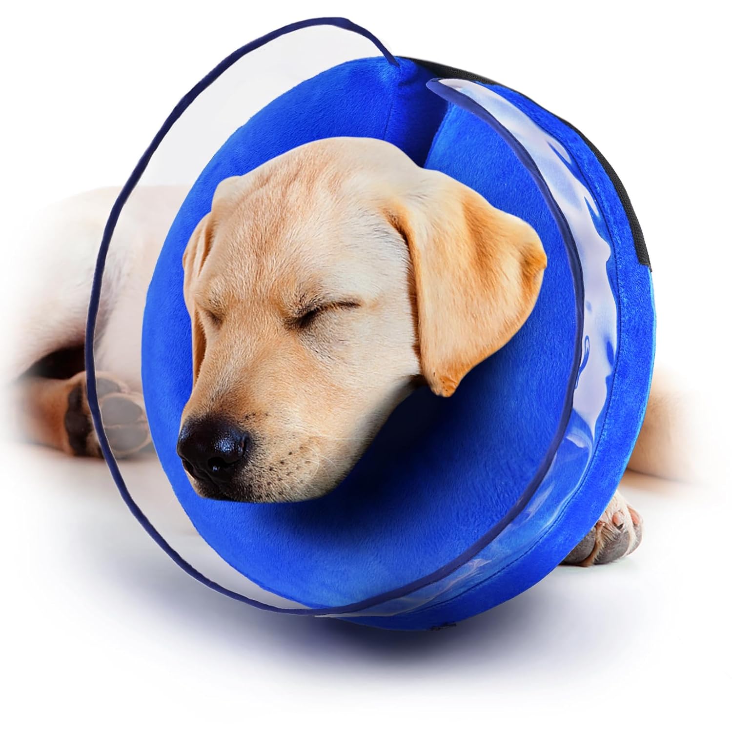Buy Zeaxuie Soft Inflatable Dog Cone Collar for Dogs After Surgery with
