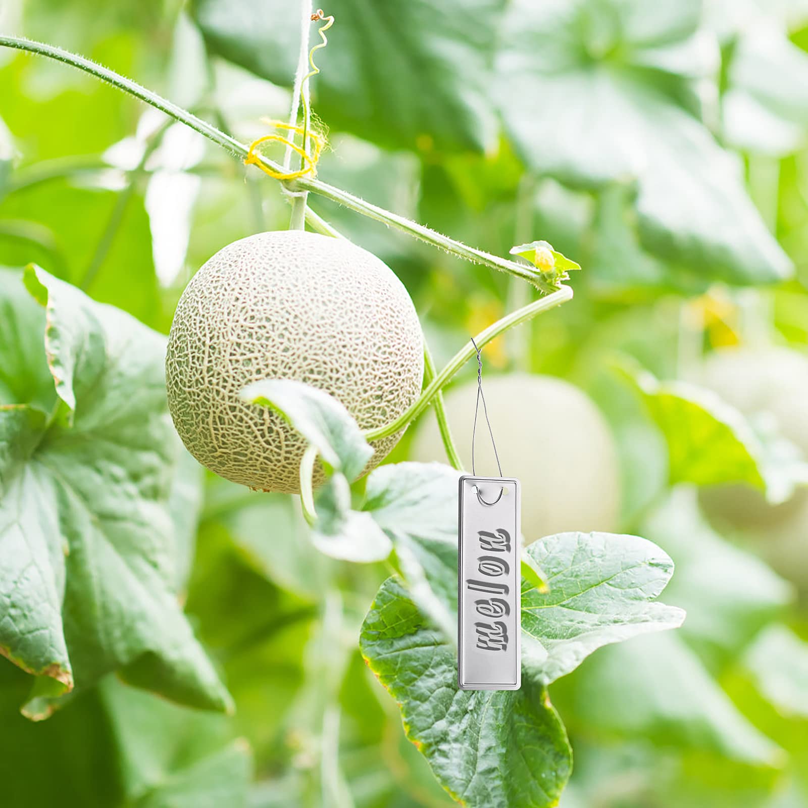 Maak zelf plantlabels van hergebruikt alumnium
