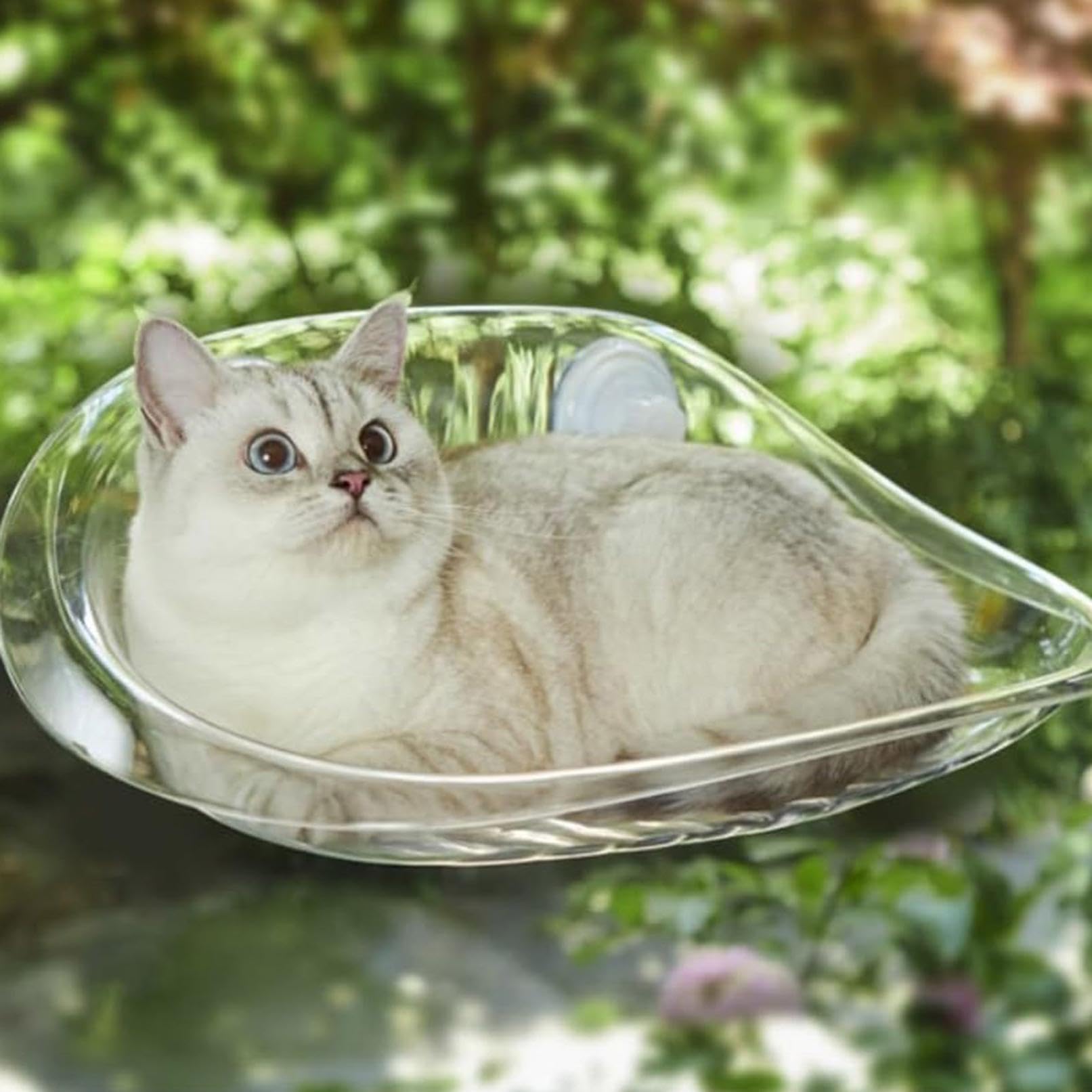 Katzen Hängematte für Fensterplätze - Sommer Abkühlen, Klappbar, 50x30cm, Stabil Saugnäpfe bis zu 10kg, Rosa (Transparent)