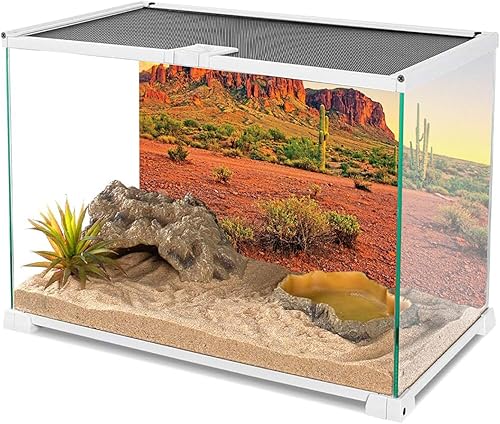 Miniatura 3 de AWERT 48x24 pulgadas Reptil Hábitat Fondo Cielo Oasis Montaña Cactus Sol y Desierto Terrario Fondo Fondo Poliéster Duradero