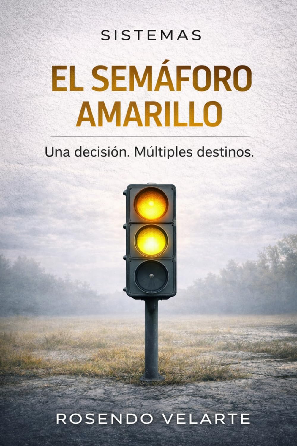 EL SEMAFORO AMARILLO: Una decisión, Múltiples destinos (SISTEMAS)