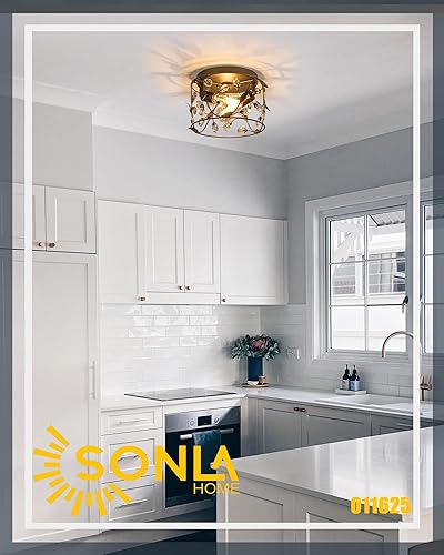 Miniatura 9 de SONLA Lámpara de techo, lámpara de techo de cristal vintage, lámpara de techo de ramas de cristal para pasillo de cocina, lámpara de techo negra de