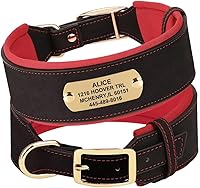 Vista 8 de PET ARTIST Collar de perro acolchado de piel sintética duradera para razas de perros medianos y grandes, personalizable con nombre, hebilla de metal