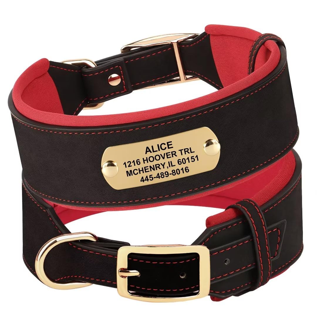 Hundehalsband Aus Echtleder – Robust Mit Metallschnalle, Für Halsumfang 33–44,5 Cm (Größe M)