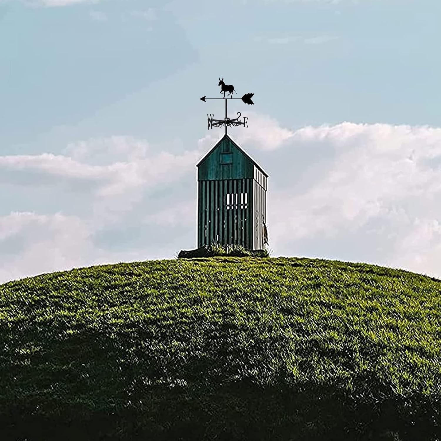 Weathervane Donkey Ornament Roof Mount Outdoor Decor Animals Direction Indicator Metal Weather Vane for Garden Stake Yard Farmhouse, Measuring Tool Mount Easy Use