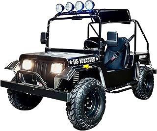 Mini Trail Rider 3000W Electric Golf Kart
