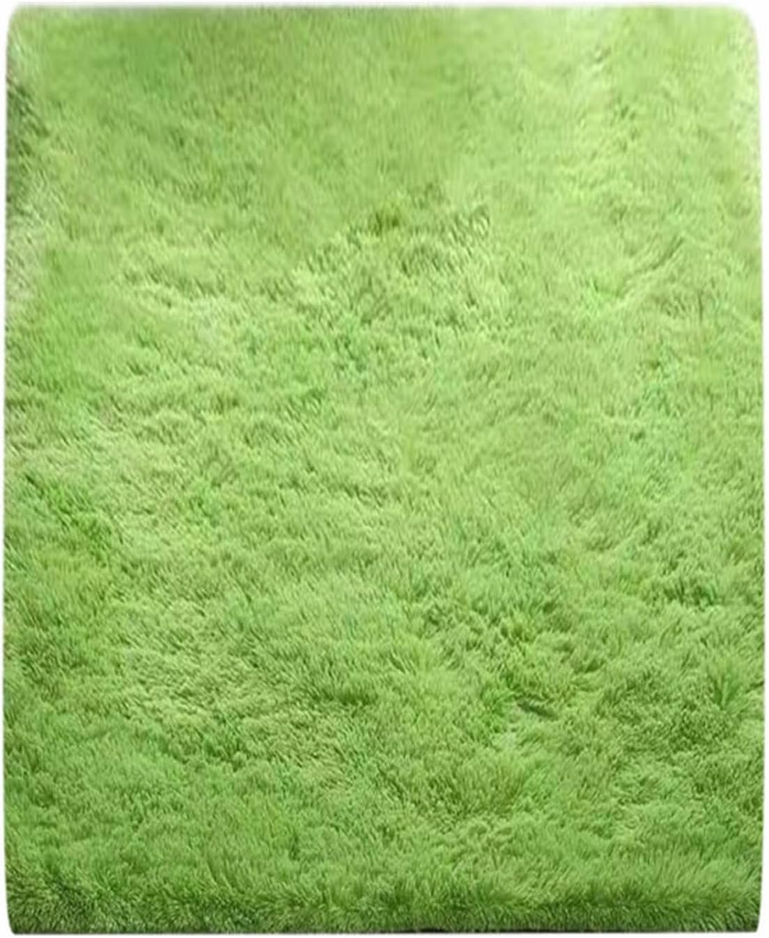 Scceatti Rugs for Living Room 4x2.5 Feet Washable Shaggy Soft Classroom Rug Rugs Large Aesthetic Bedside Rug Rugs for Bedroom Fluffy Shaggy Bedside Floor Dorm Area Rug Non Slip Room Carpet,Green