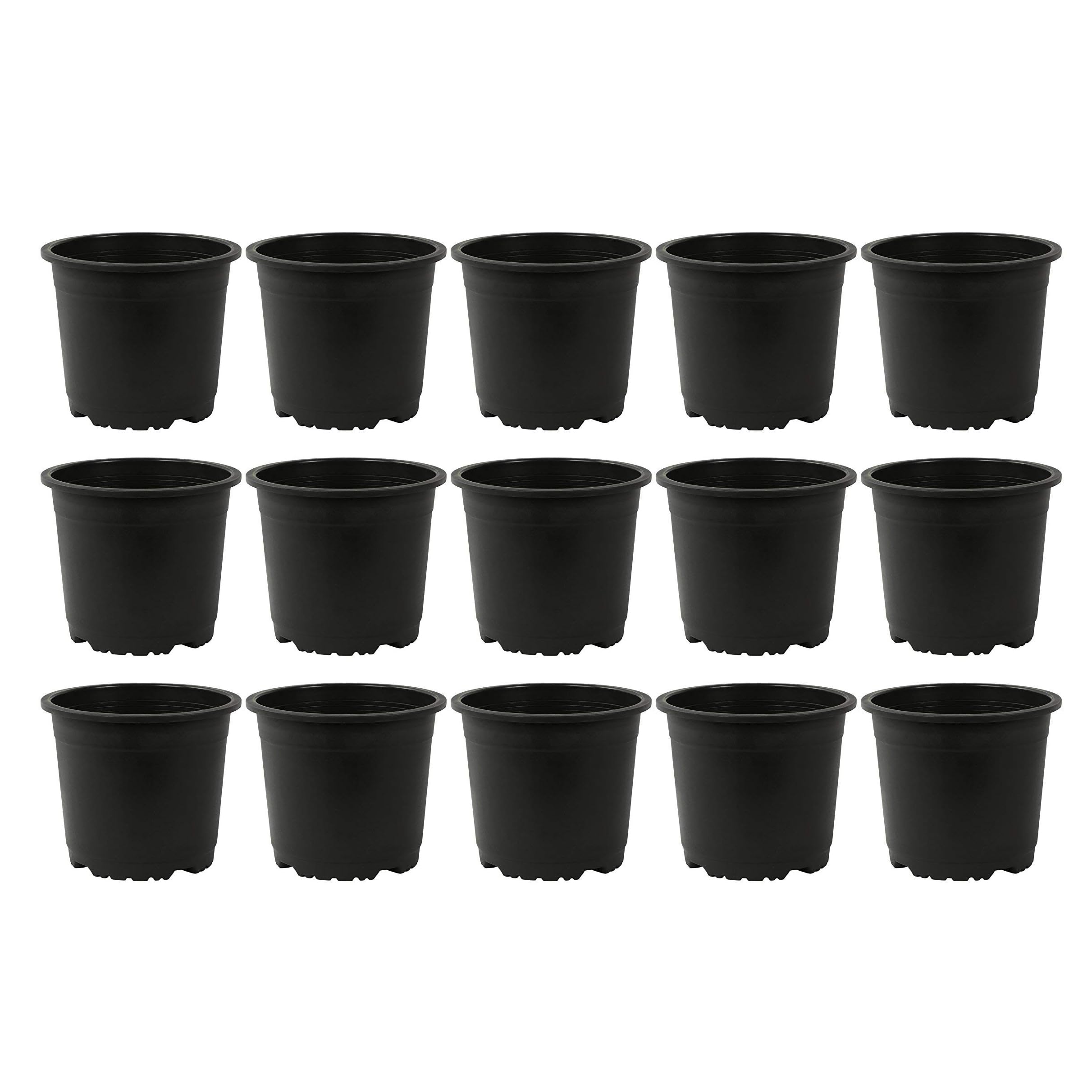 Amazon Brand -100% Virgin Plastic Round Nursery Planter Pot | Indoor and Outdoor Flower Pot for Home/Office/Table/Garden/Balcony Decoration | 5 inch (Set of 15)-image-23