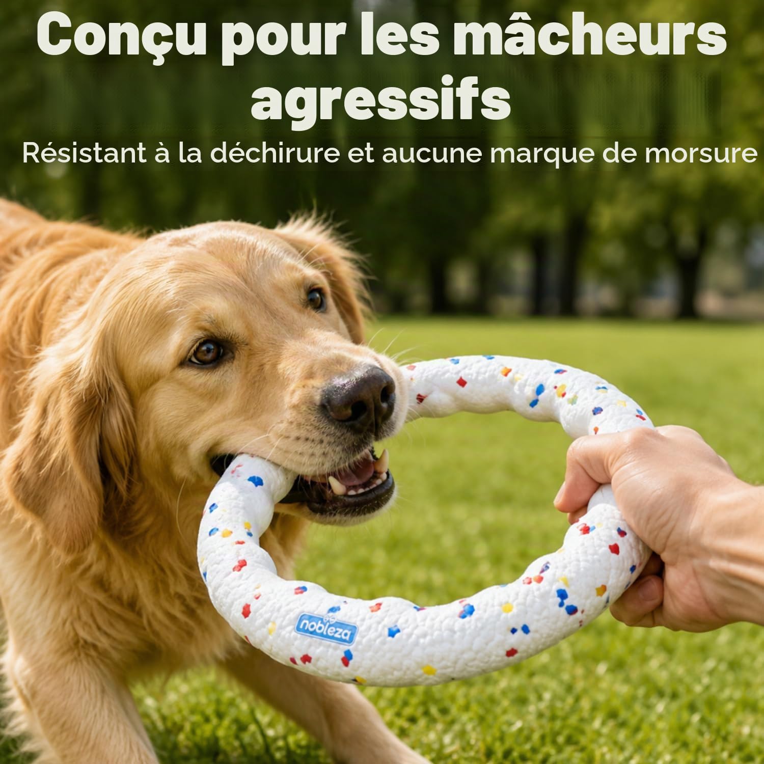 Nobleza 2 Pcs Frisbee pour Chien, Disque Volant Résistant aux Morsures avec Poignée de Traction, Jouet Interactif pour Grand Chien et Chiot, Jeu de Rapport Extérieur et Entraînement Eau, Φ23cm