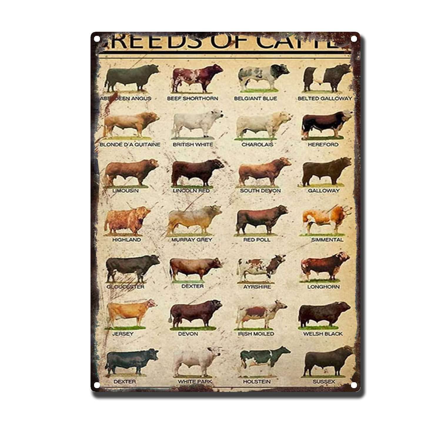 Hyclam Metal Sign Breeds Of Cattle Cow The Kitchen Sign Retro Funny Art Decorative Iron Picture 12X16inch-Tin Sign