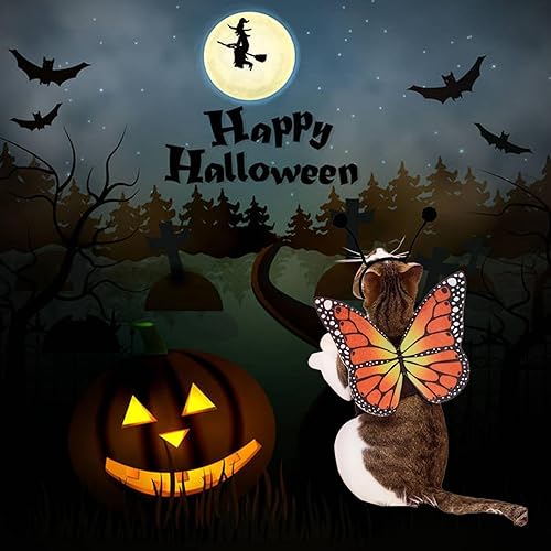 Miniatura 3 de Alas de mariposa de gato, 2 piezas, disfraces para perros pequeños, divertidos diadema de antenas de alas de Halloween, disfraz de cosplay, ropa de