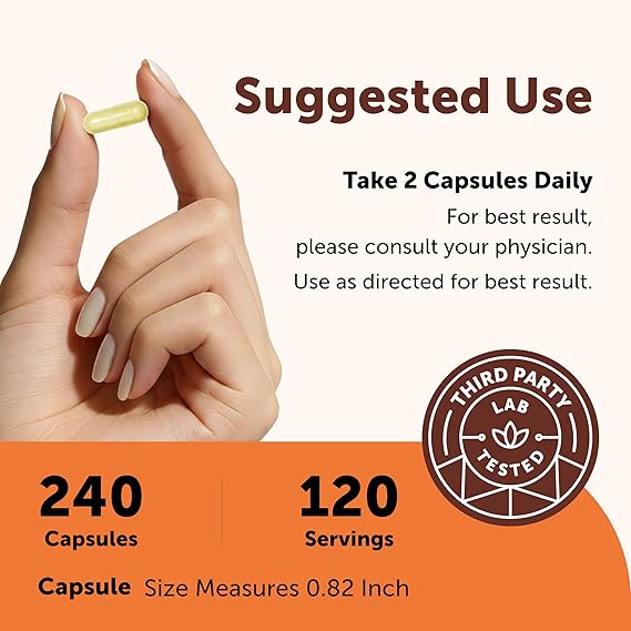 Micro Ingredients Quercetin with Vitamin C & Zinc, 240 Capsules | 6in1 Formula with Quercetin, Vitamin C & 4 Zinc Forms (Picolinate, Citrate, Glycinate, Gluconate) | NonGMO