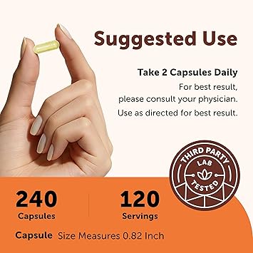 Micro Ingredients Quercetin with Vitamin C & Zinc, 240 Capsules | 6in1 Formula with Quercetin, Vitamin C & 4 Zinc Forms (Picolinate, Citrate, Glycinate, Gluconate) | NonGMO