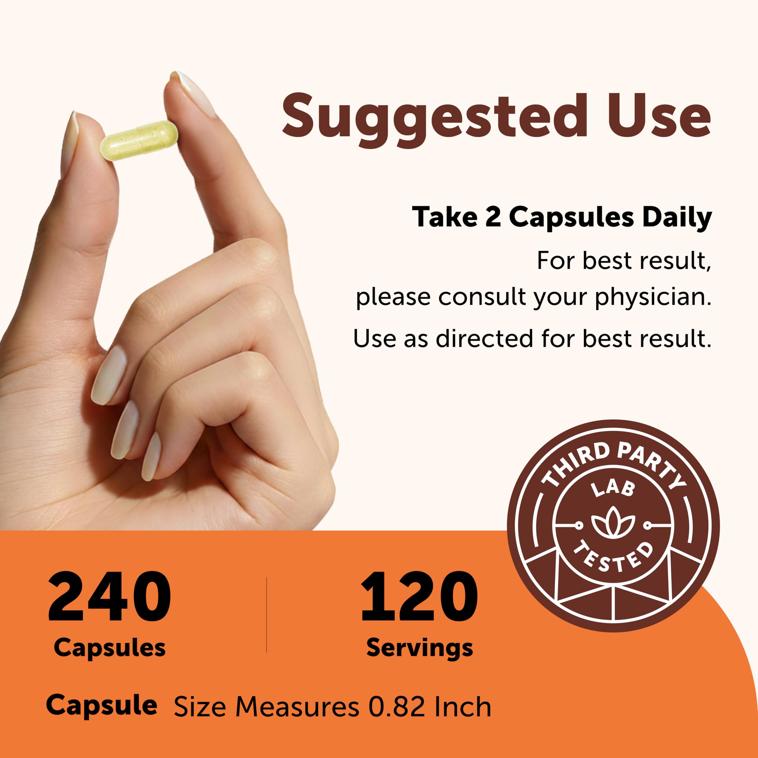 Micro Ingredients Quercetin with Vitamin C & Zinc, 240 Capsules | 6‑in‑1 Formula with Quercetin, Vitamin C & 4 Zinc Forms (Picolinate, Citrate, Glycinate, Gluconate) | Non‑GMO — Amazon image 4