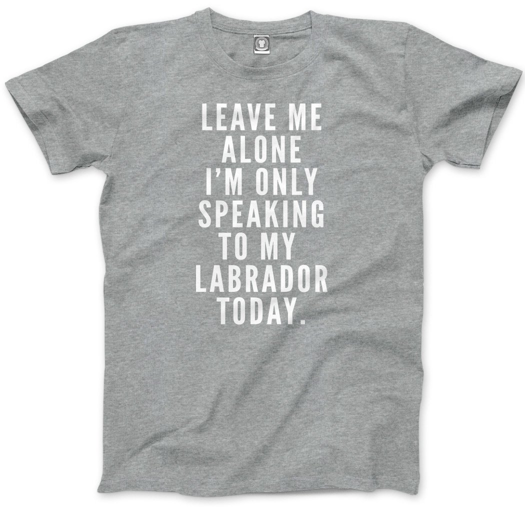 Hotscamp Men's Heather Grey Leave Me Alone I'm Only Talking To My Labrador Unisex T-Shirt - Large