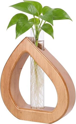 Glass Test Tube Terrarium Plant Propagation Station Holder | Wall Hanging for Indoor Water Plant Rooting, Wall Home Decor, Thoughtful Gardening Gift for Mom and Plant-Loving Women