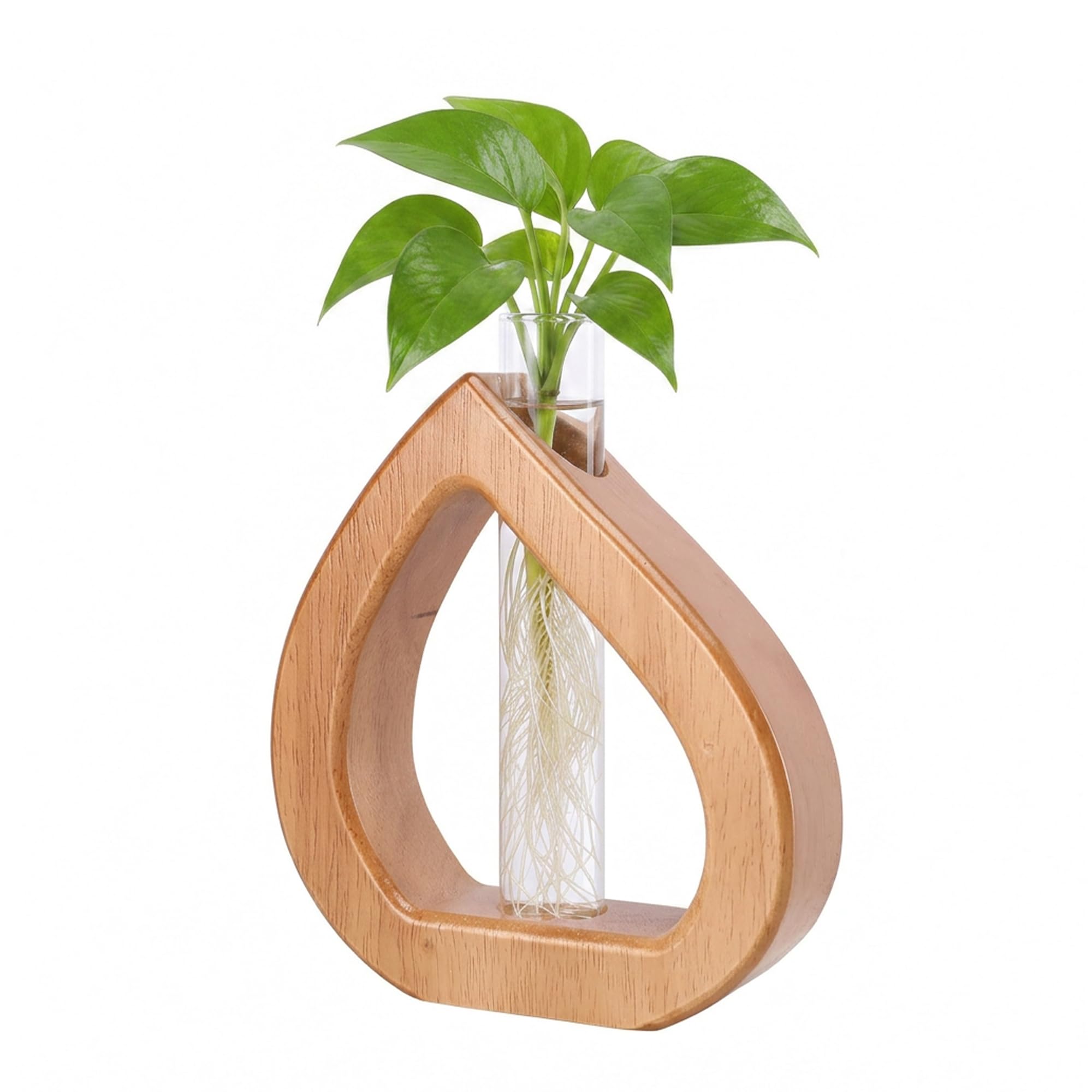 Chonsun Wall Hanging Test Tube