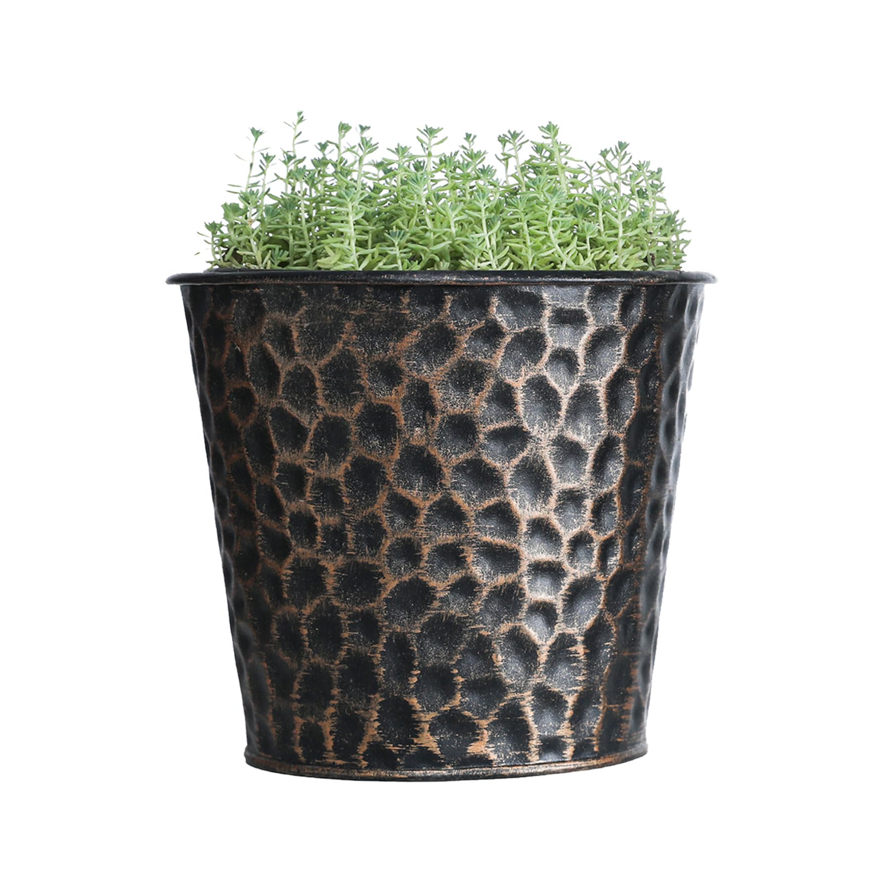 Pot de fleurs en cuivre sur une étagère de salon pour une décoration végétale chaleureuse