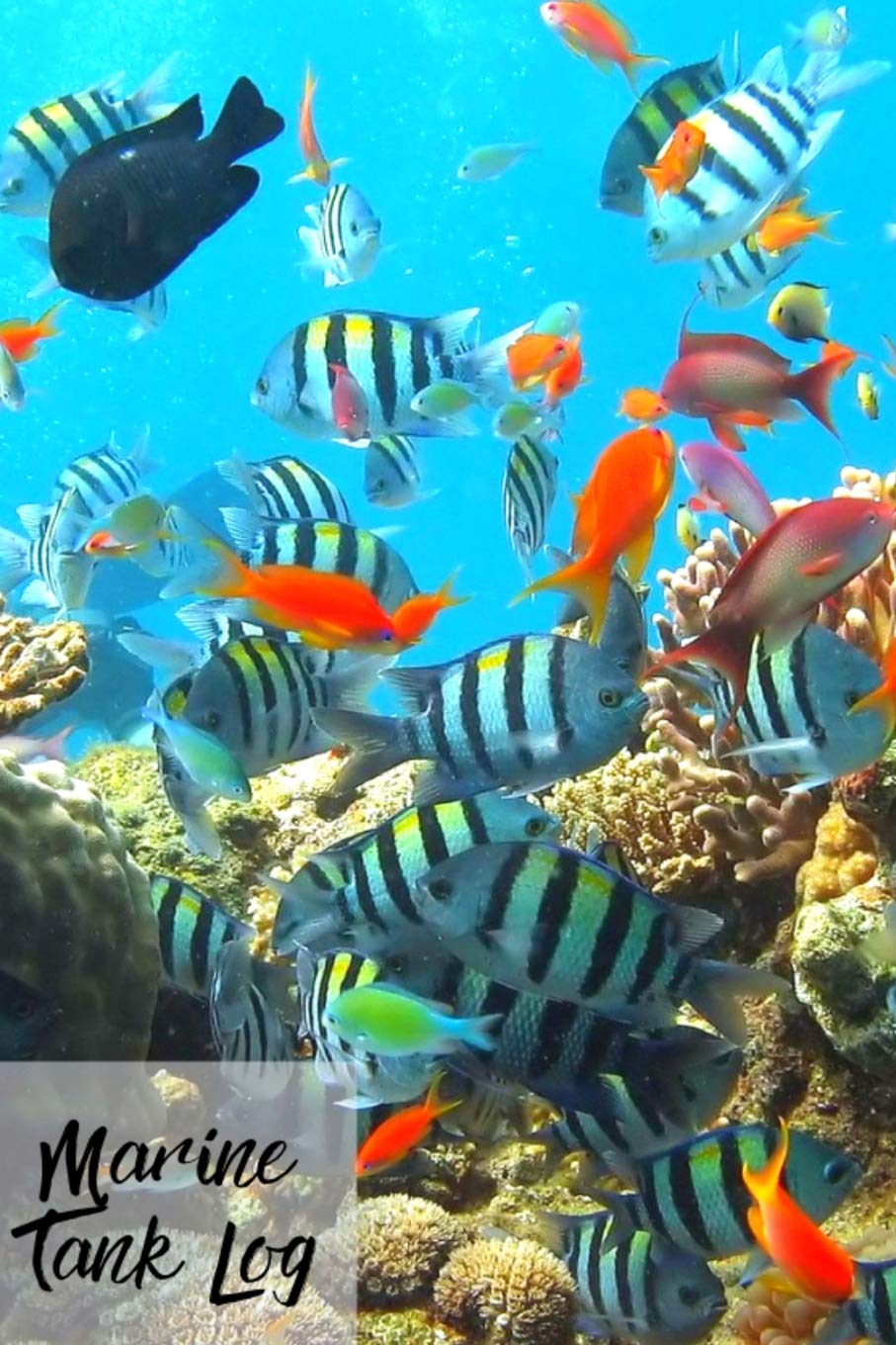 Marine Tank Log: Ideal Marine Fish Keeper Maintenance Tracker For All Your Aquarium Needs. Great For Logging Water Testing, Water Changes, And Overall Fish Observations.