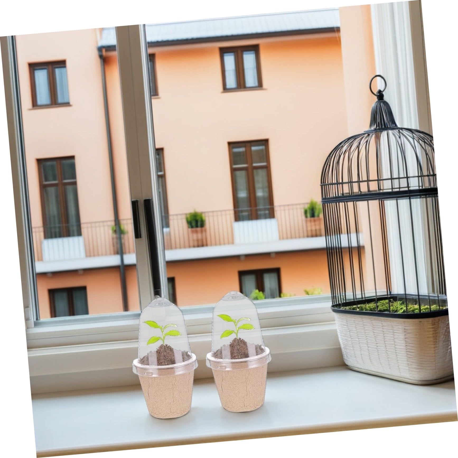40 Stück Runde Pflanztöpfe aus Biologisch Abbaubarem Papierpulp Atmungsaktive Anzuchtbecher mit Wasserhaltefähigkeit für Gesunde Keimung und Indoor-Garten für Balkone und