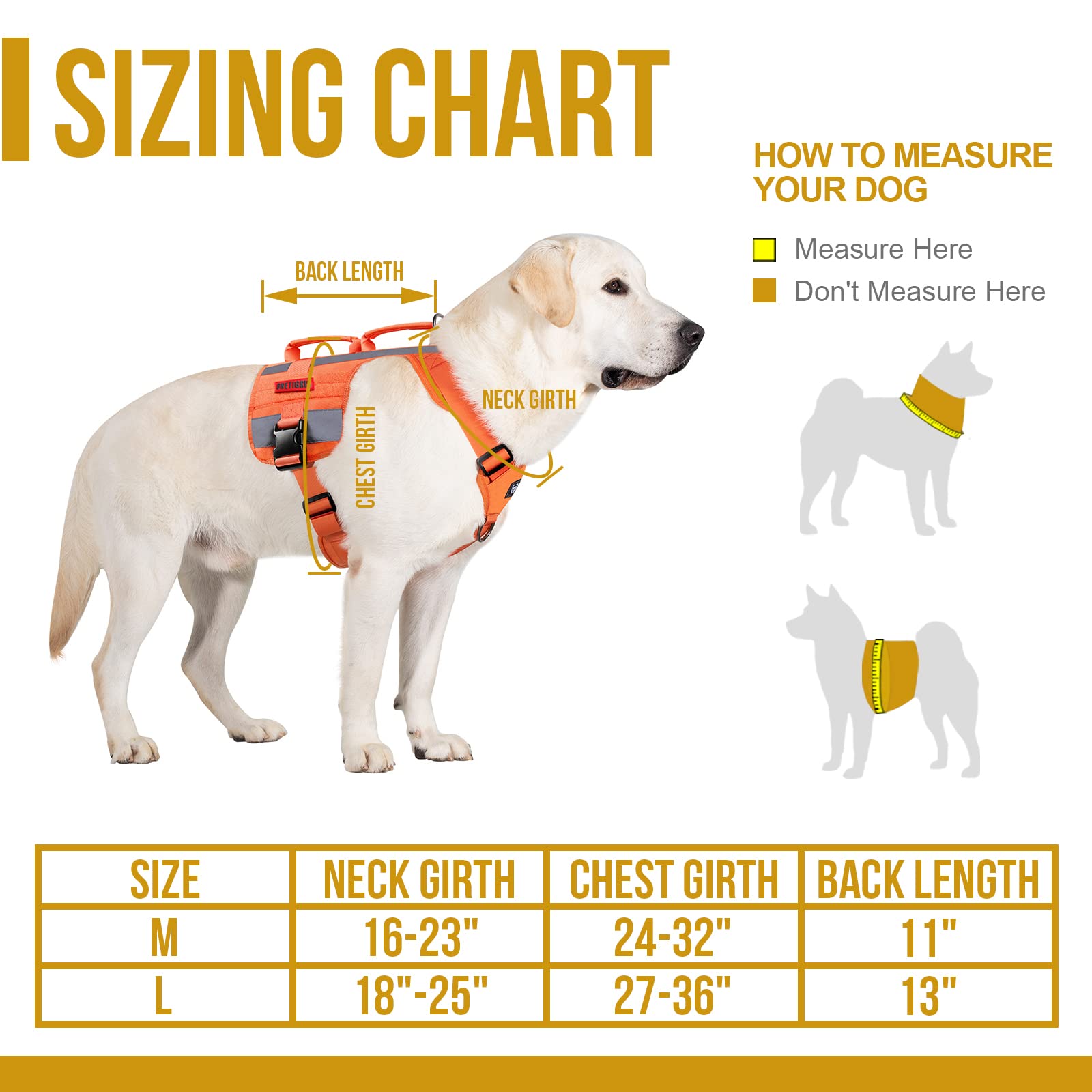 How Do You Measure A Dog For A Vest