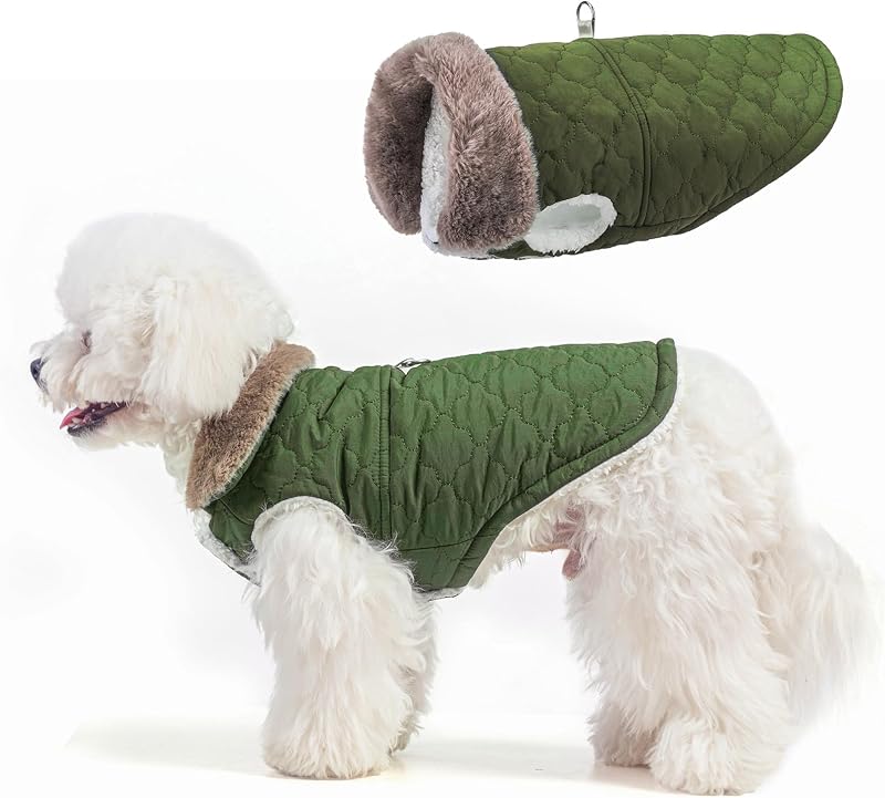Casaco de Inverno para Cães BEAUTYZOO com Colete, Forro de Soft Fleece e Argola para Guia, Verde, XS