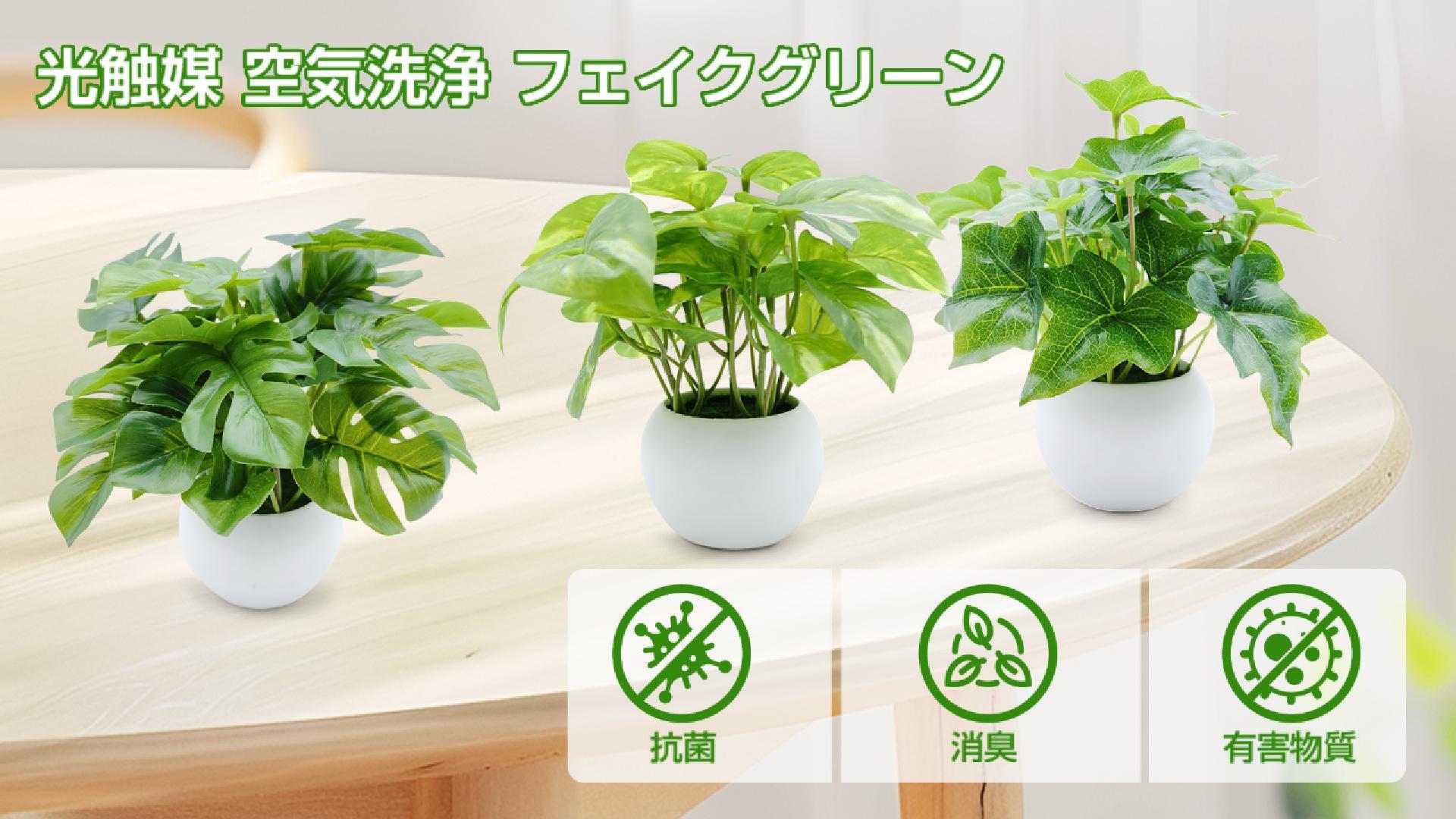 Amazon｜光触媒 観葉植物 ミニ セット 3個 消臭・抗菌効果 フェイク