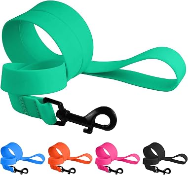 CollarDirect Waterproof Dog Leash Durable Pet Leash for Walking Training Running for Dogs Mint Green, M