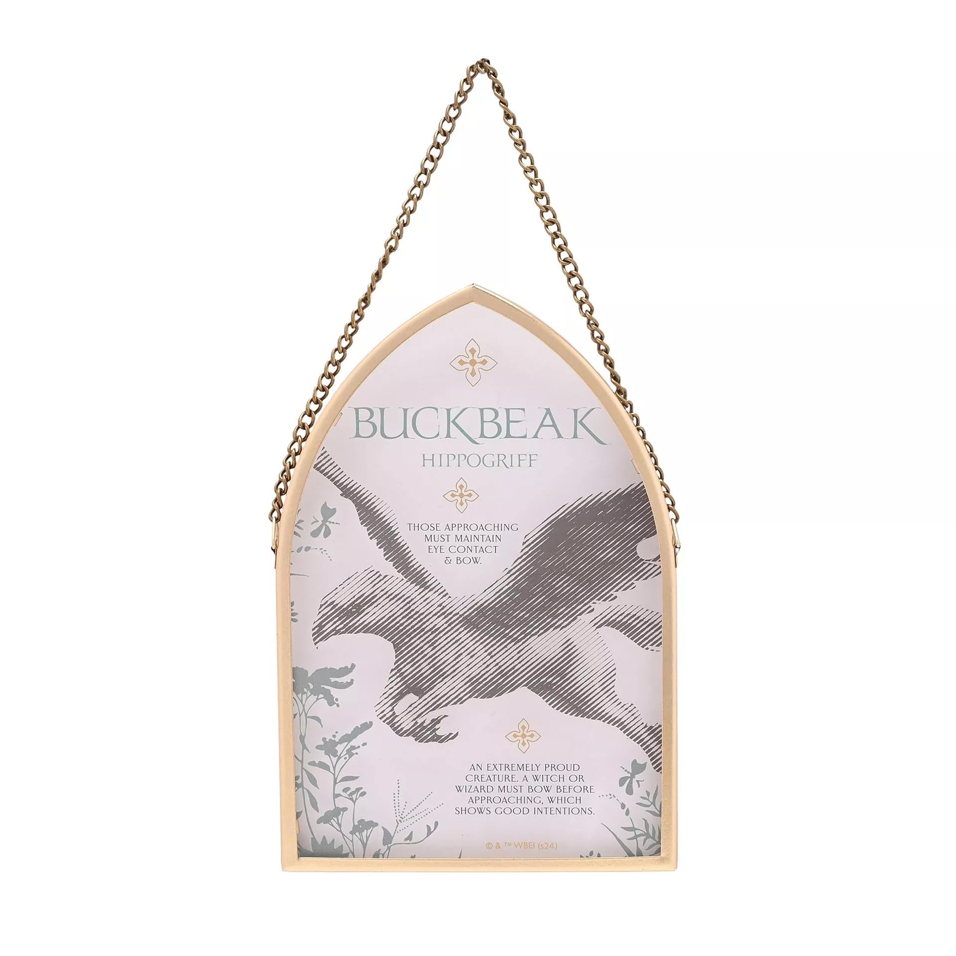 Widdop And Co Pink Warner Bros Harry Potter Buckbeak Hippogriff Magical Creatures Arch Plaque With Chain Hanger, Glass Wall Decoration
