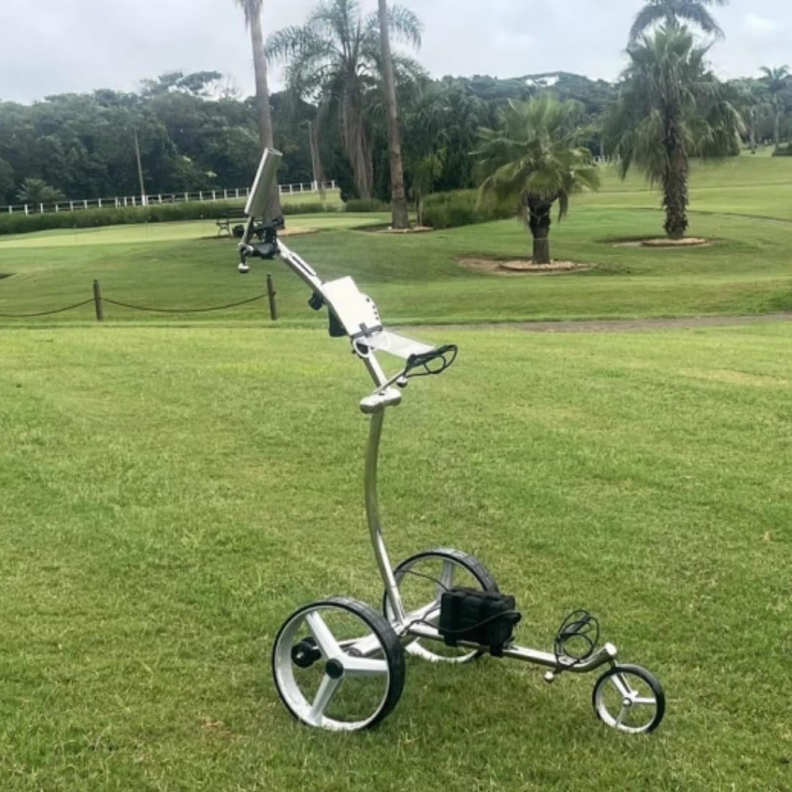 Carrito De Golf Eléctrico De 3 Ruedas: Ligero, Plegable Y Cabe En El Maletero, Capacidad De Carga: 30 Kg, Ajuste De Velocidad: 1-9, Incluye Marcador Y Soporte