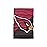 FOCO Arizona Cardinals Big Logo Gaiter Scarf - Youth