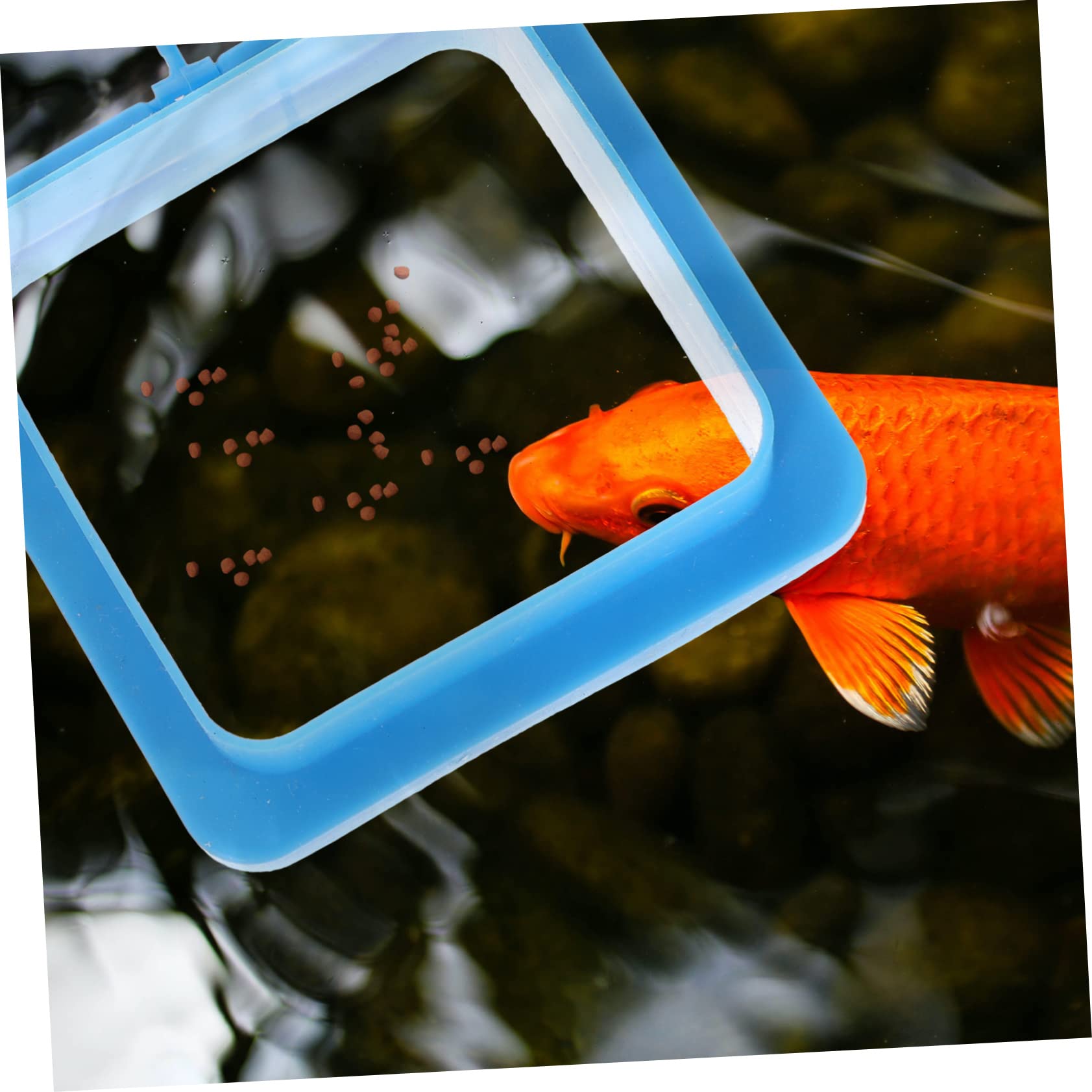 GANAZONO 2pcs Fish Feed Feeder Food Feeder Circle Pet Feeder Fish Food Ring Betta Pellets Fish Food Fish Tanks Fish Feeder Tube Fish Tank Decorations Net Fish Decoration Tweezer PVC Blue