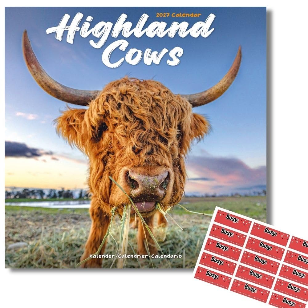 Avonside Highland Cows 2027 Square Calendar with Organisational Stickers