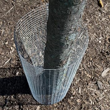 MESH Masters Welding Wire Garden Fencing Iron Net with 14 Guage Mash Size 2  2 Inch Block Anti Bird 6Feet/45-50Feet Netting Uv Stablized with 12 Months Guarantee (6 Feet)