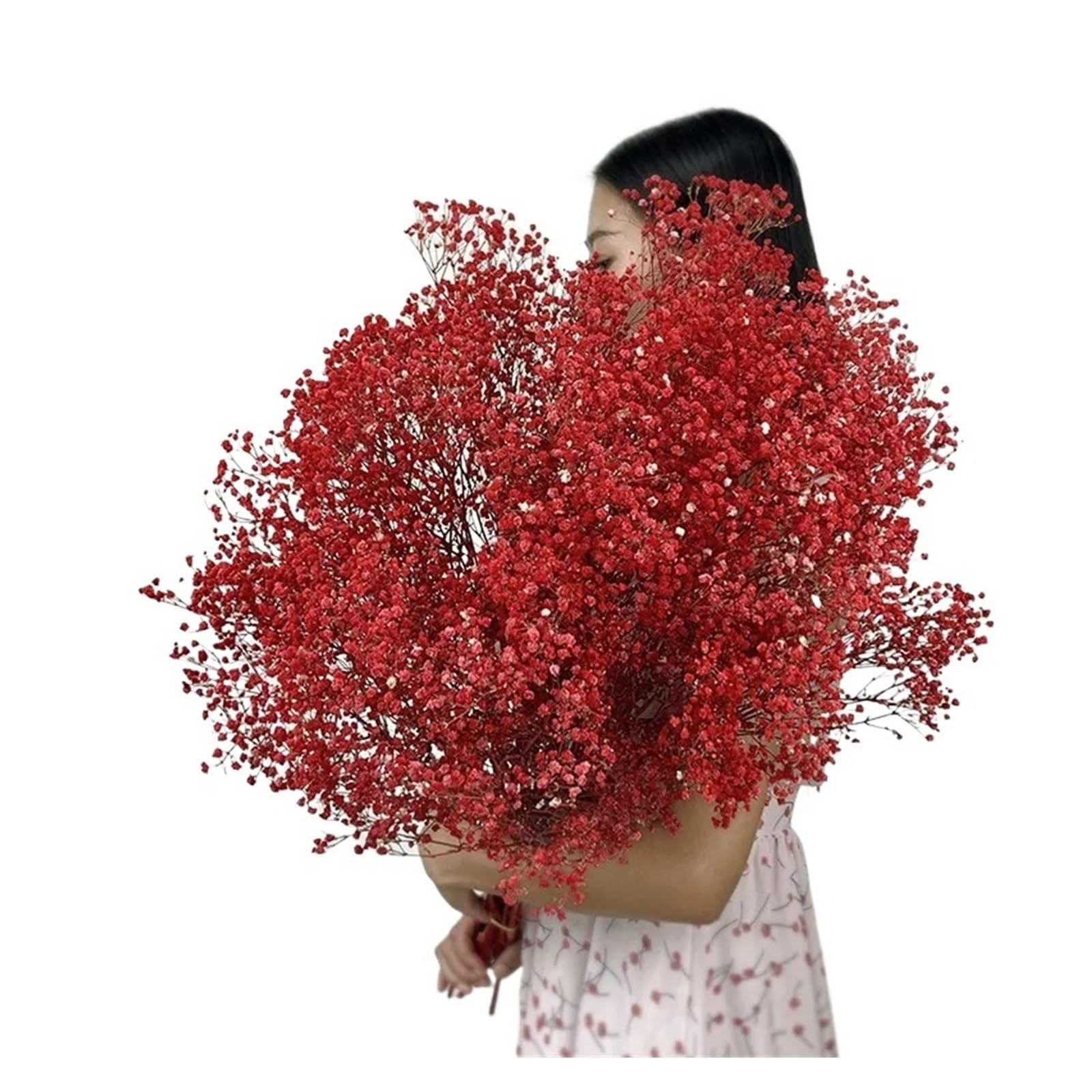 WJIAYAO dried gypsophila flowers Dried Baby Breath Flowers Gypsophila Bouquet Bridal Wedding Decoration Home Decor(Red,50g)