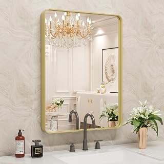 WEER Bathroom Vanity Mirror Gold 20X30 Inch