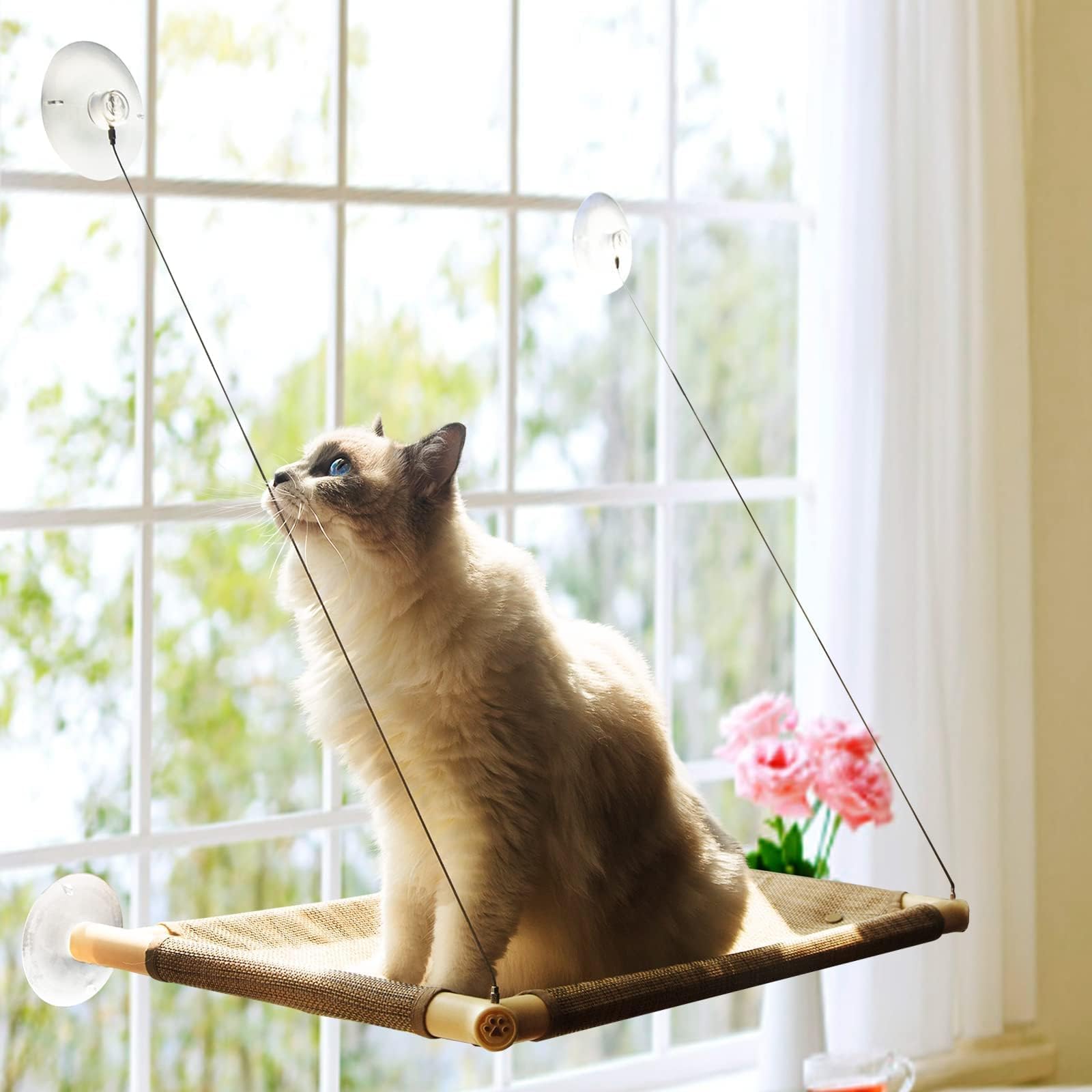 PETPAWJOY Cat Window Perch, Strong Suction Cups Easy Clean Safety Cat