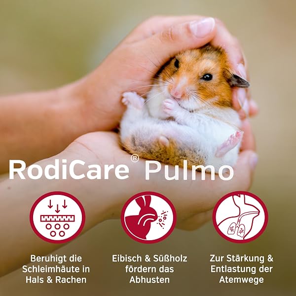 alfavet RodiCare Pulmo, zur Unterstützung der Atemwege von Meerschweinchen und Kleinnagern, Ergänzungsfuttermittel, 20ml, Dosierspritze - 3